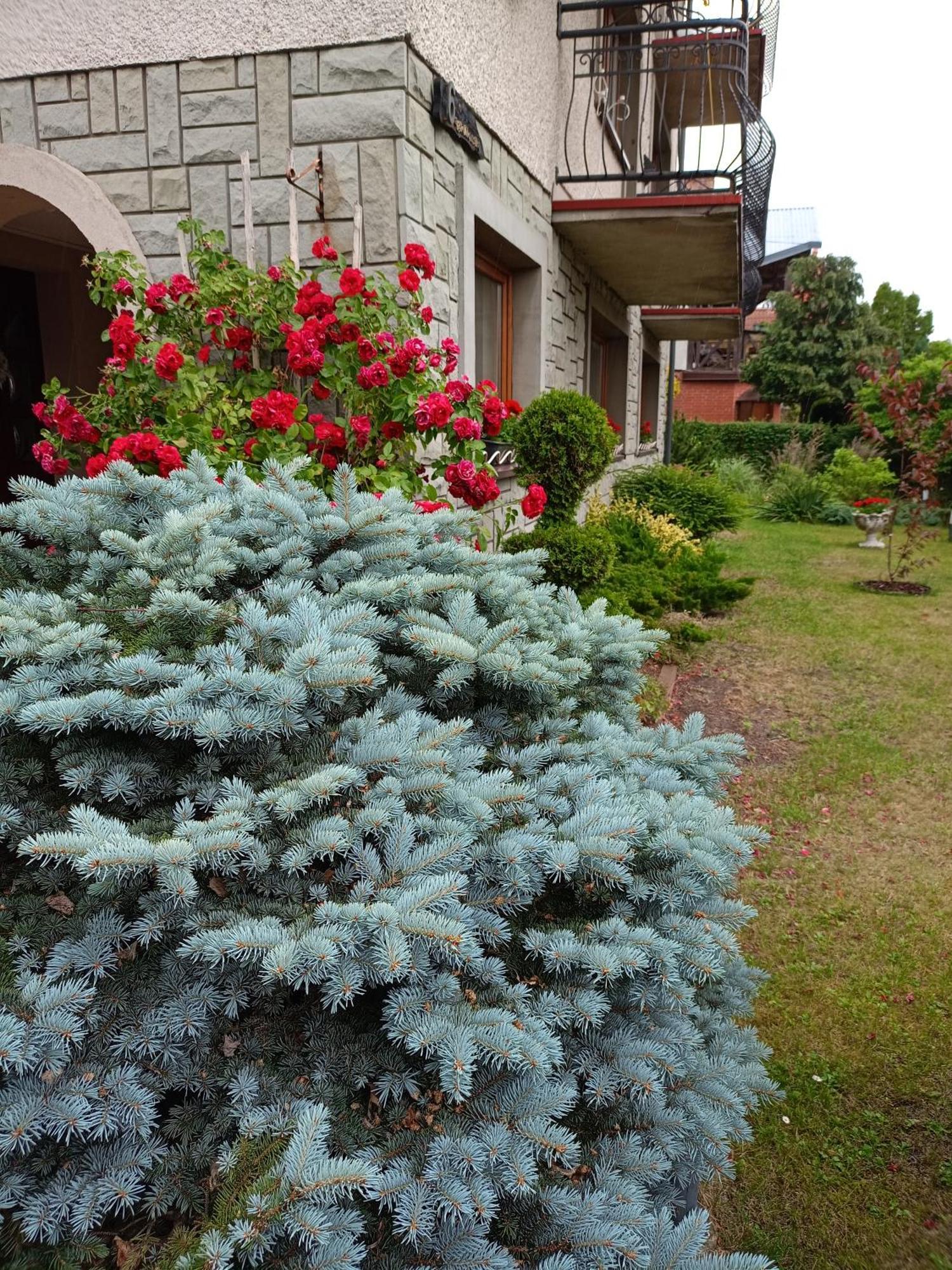Apartamento Miramar Łeba Exterior foto